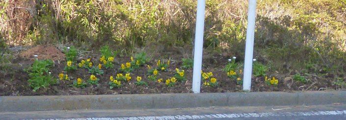 木くずが活用される花壇